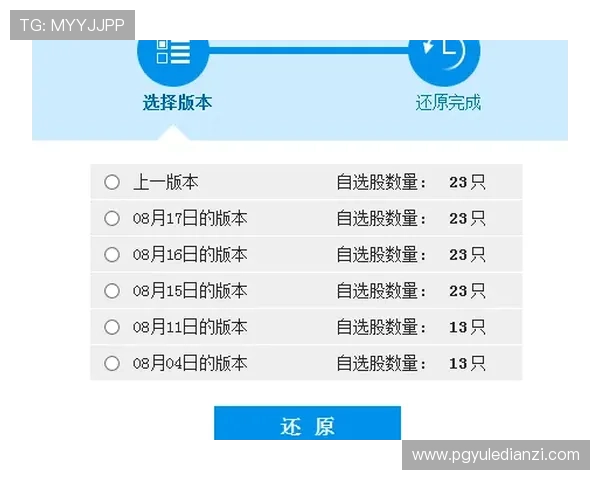 PG客户端连接详细教程帮助你快速实现稳定连接与优化体验